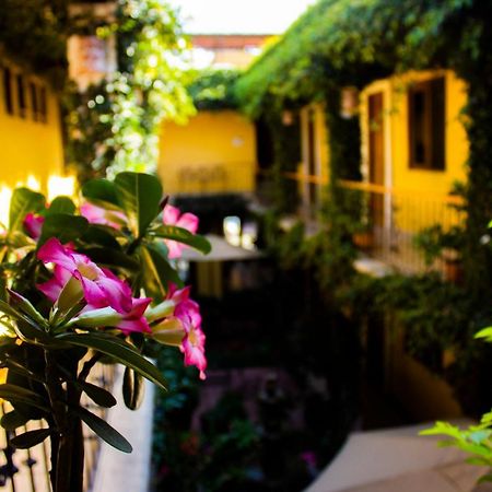 Hotel Dainzu Oaxaca Экстерьер фото