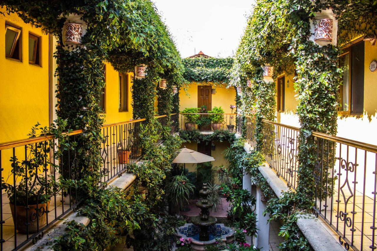 Hotel Dainzu Oaxaca Экстерьер фото